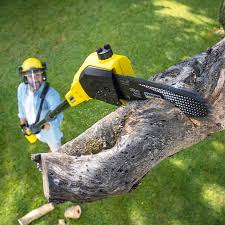 Lawn Pest Prevention in Sunbury, PA